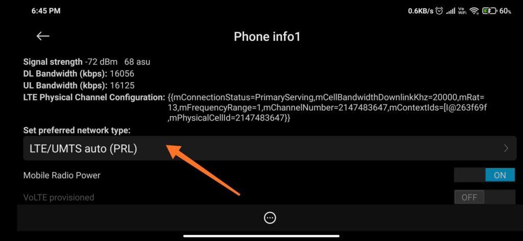 Set preferred network type