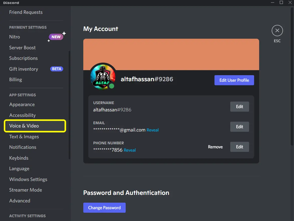 discord voice and video setting