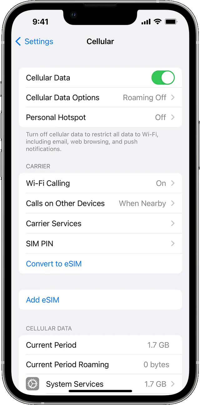 cellular data setting on iphone