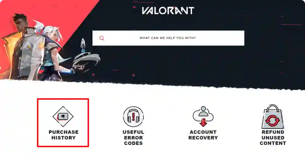 VAlorant Purchase History Page
