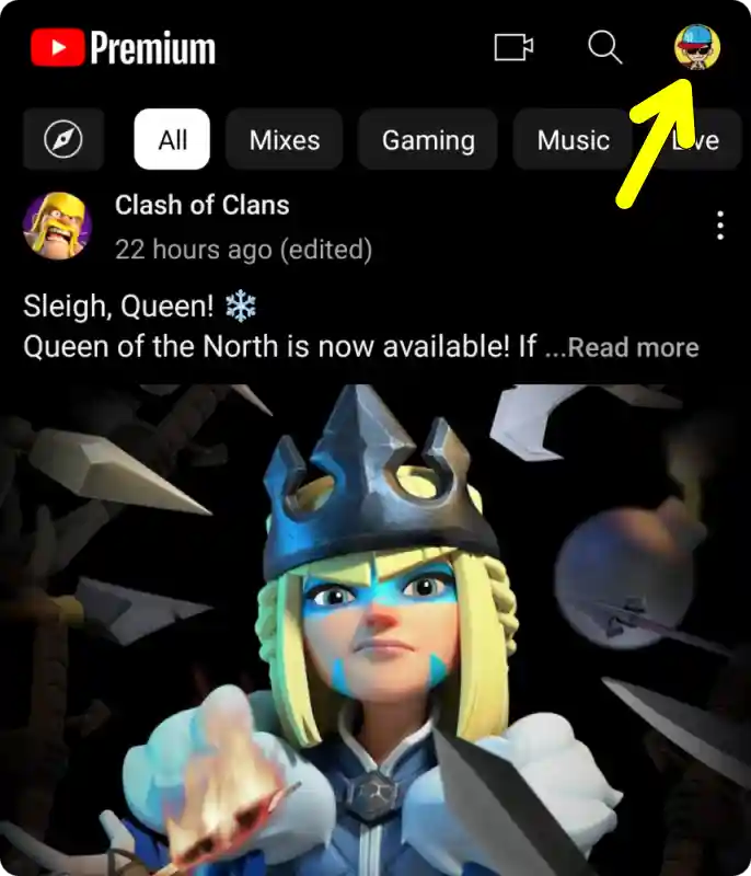 Youtibe profile setting