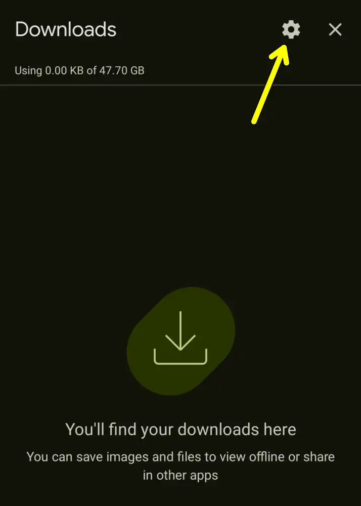 Google Chrome Download Setting ICON