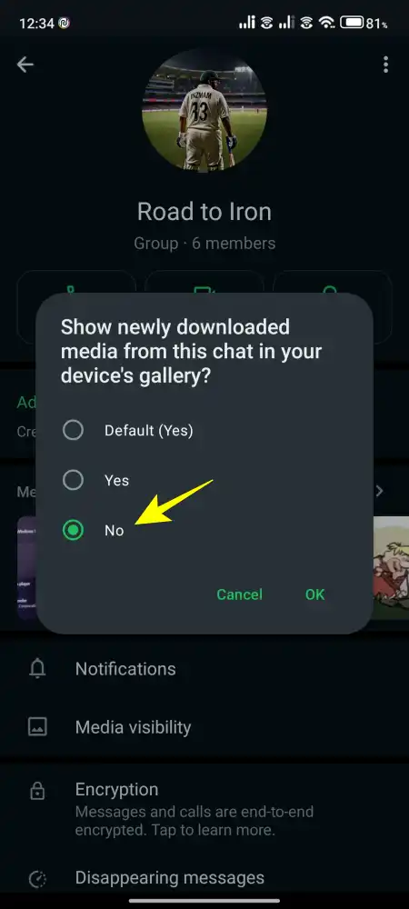 stop media from automatically download in groups