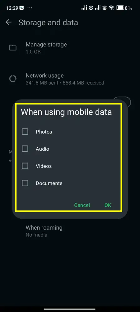 turn off automatic media download