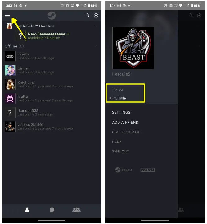 Select Invisible to Appear Offline on the Steam Chat