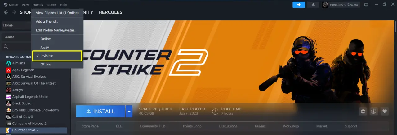 Select Invisible to Appear Offline on Steam Desktop App