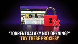 TorrentGalaxy Proxy List