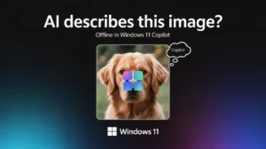Windows 11 Describe Image feature that works offline