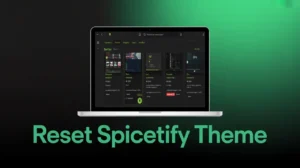 How to Reset Theme on Spicetify